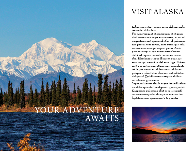 Visit Alaska poster